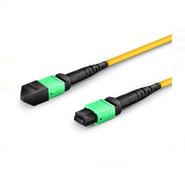 Dây nhảy quang MTP to MTP Female, OS2 Type A, 12 Fibers Elite Trunk Cable sample - Xmethod Network - Hàng chính hãng