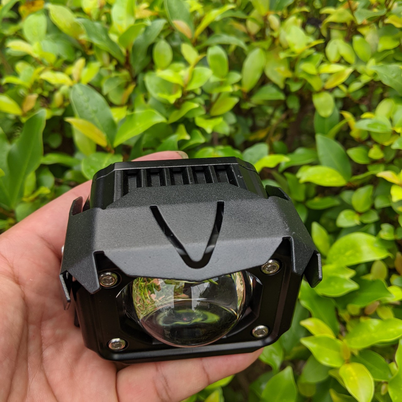 Đèn bi cầu 2 màu cốt vàng pha trắng F20xp 60w siêu sáng chống nước dành cho khách vip