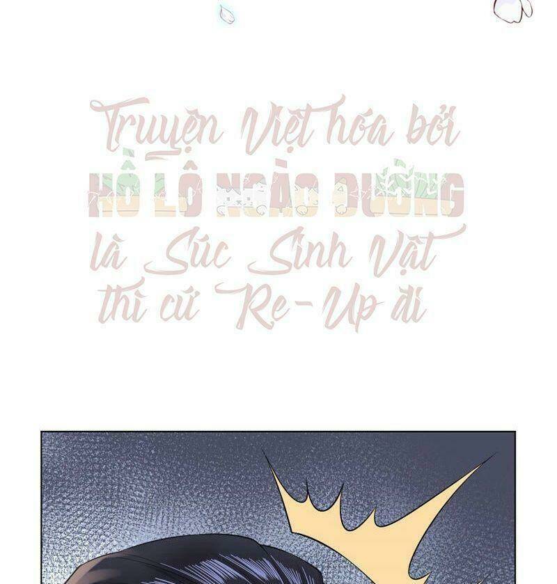 quận chúa vững vàng, thiết lập nhân vật không thể vỡ chapter 29 33
