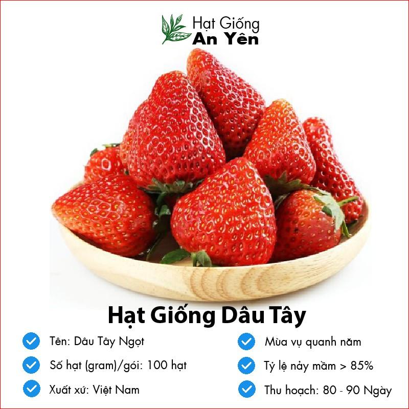 Hạt giống Dâu Tây Ngọt thu hoạch sớm, dễ trồng, nảy mầm cao, sinh trưởng khoẻ