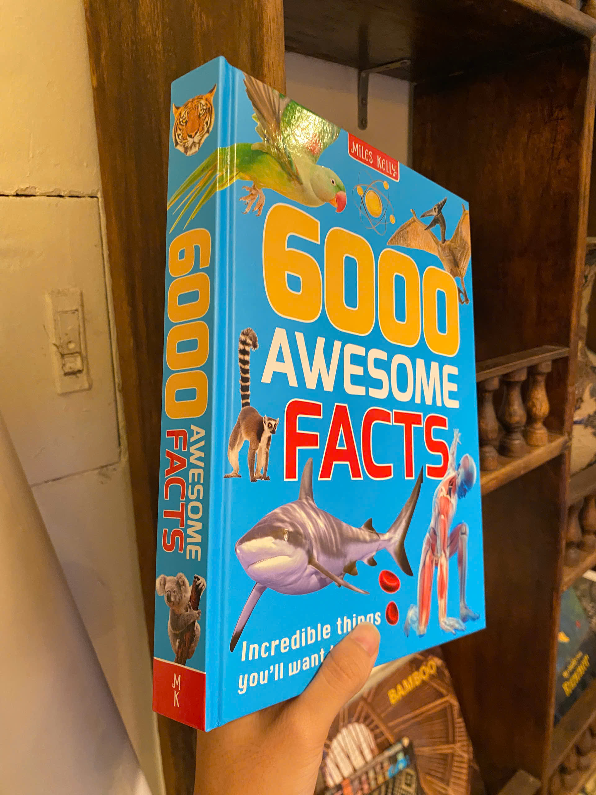Sách - 6000 Awesome Facts: Incredible Things You'll Want To Know by Miles Kelly | Children Book