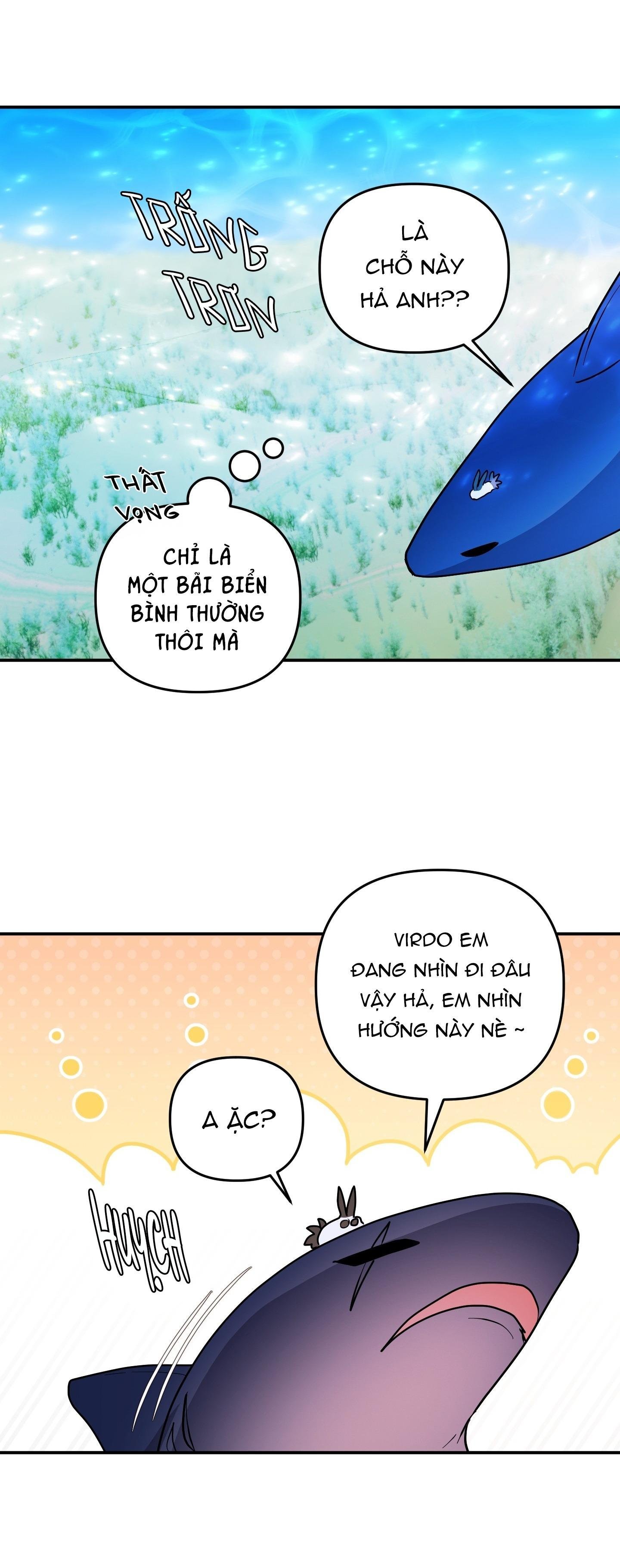 cá mập và cô dâu thỏ chapter 53 29