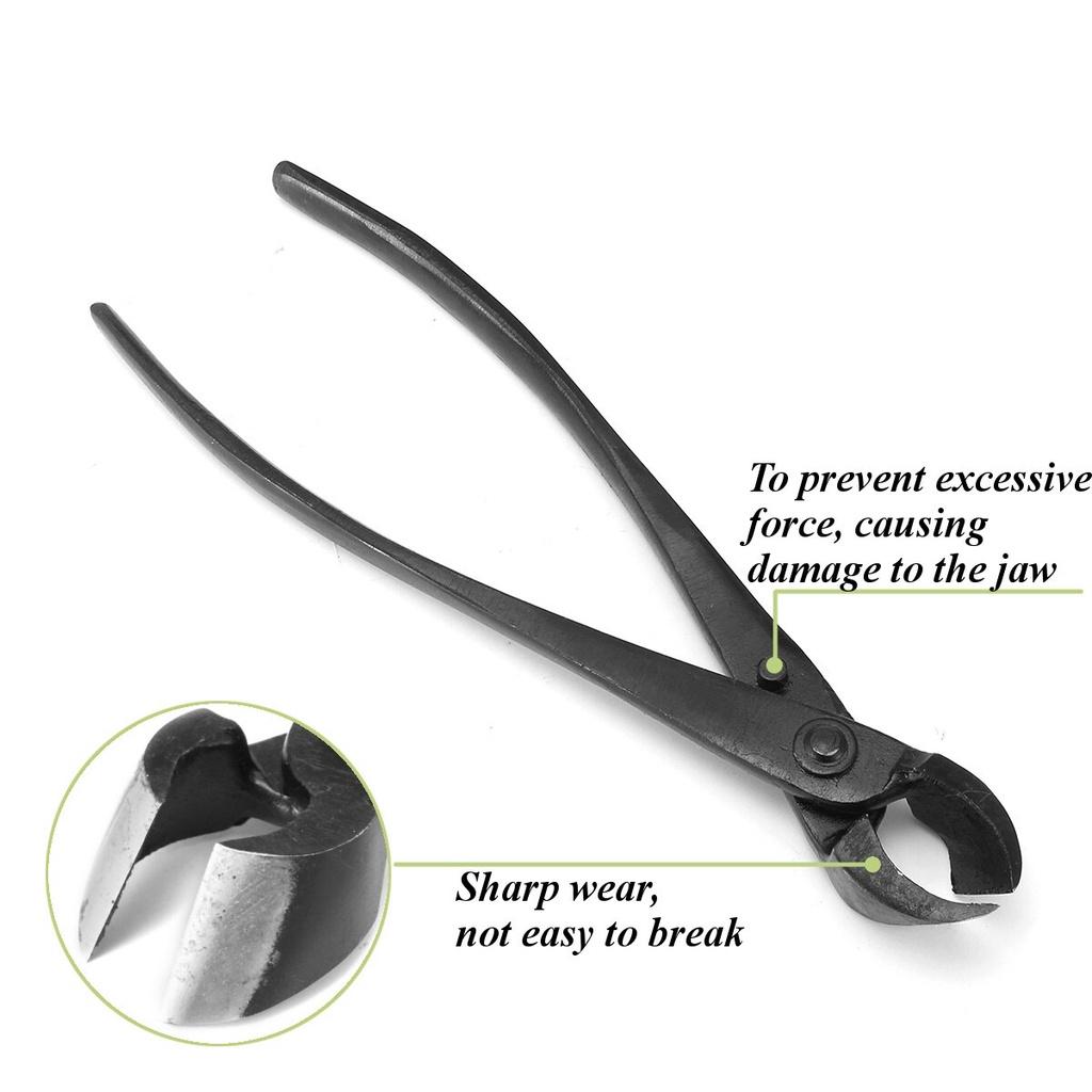 Round Edge Cutter Beginner Bonsai Tools Multi - Function As Branch Cutter and Knob Cutter 205mm 8'' Carbon Steel Garden Branch