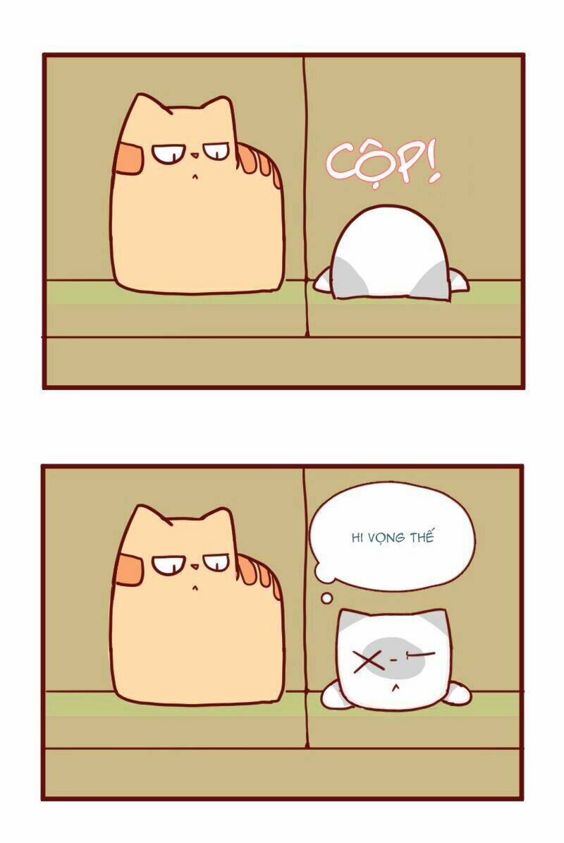 saphie: chú mèo một mắt chapter 18 11