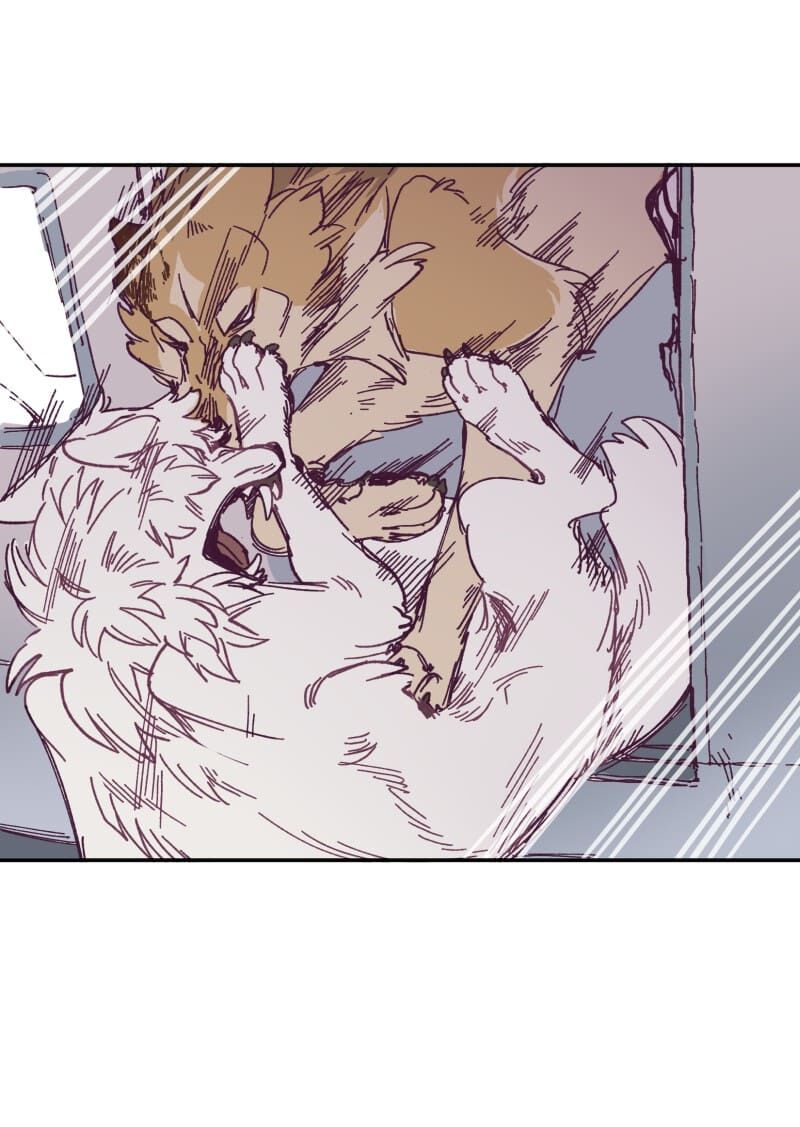 lumine - cội nguồn ánh sáng chapter 119 2