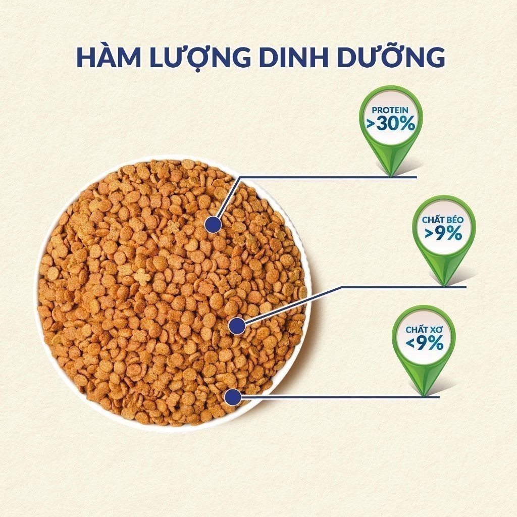 Thức ăn hạt cho mèo trong nhà MaxWell - Vị gà 1.6kg