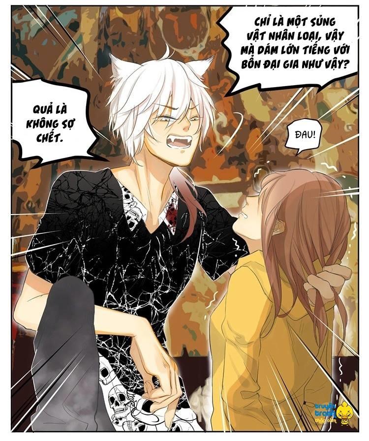 cứu mạng ! loài mèo thống trị thế giới rồi ! chapter 19 11