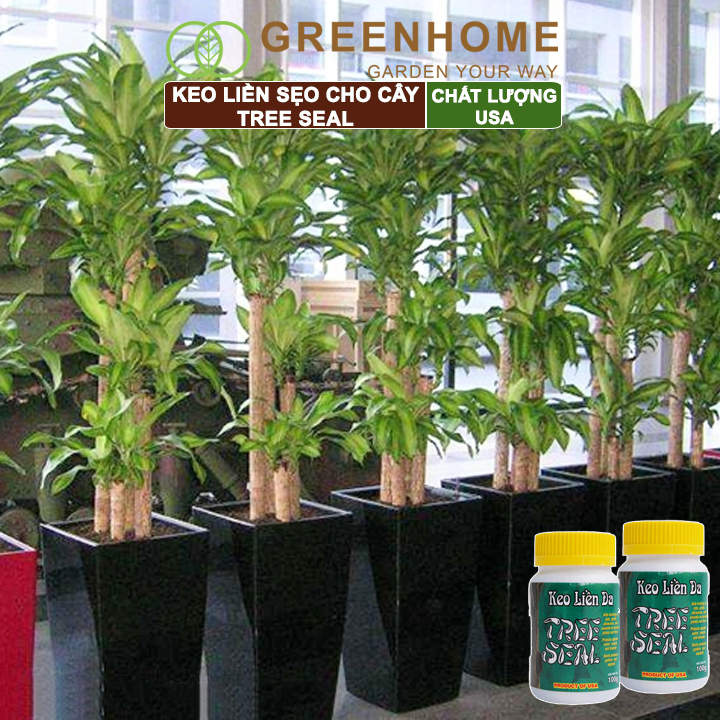 Keo liền sẹo cho cây Tree Seal, chai 100gr, hỗ trợ chiết cành, tạo dáng, bảo vệ vết cắt |Greenhome