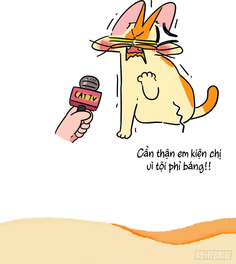 a mãn và mạch trà chapter 160 6