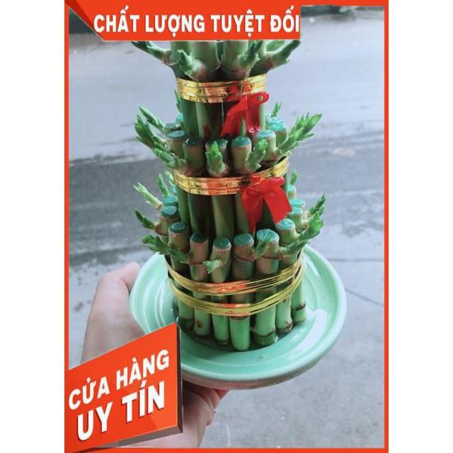 Trúc Phát Tài 3 Tầng