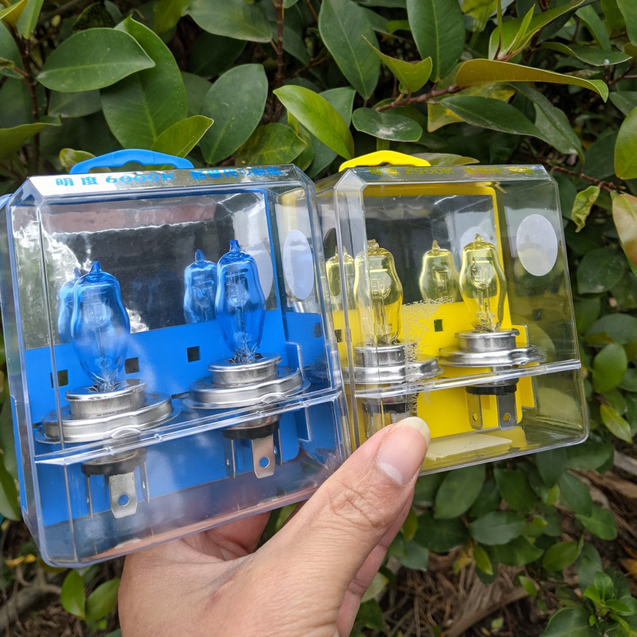 Set bộ 2 bóng đèn pha Xenon ô tô xe máy siêu sáng H4 100W HOD 6000K siêu bền, phụ kiện đồ chơi xe hơi