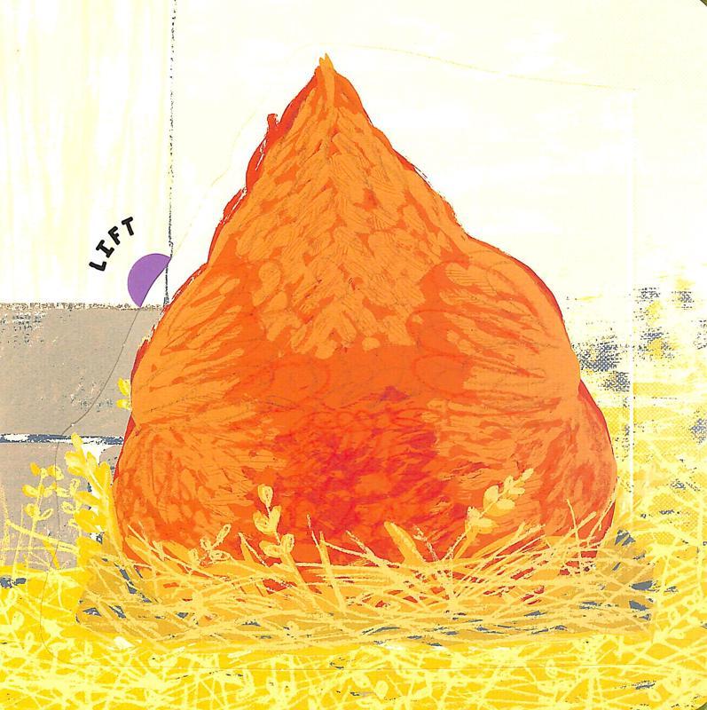 Farm Bottoms: A Lift-The-Flap Book