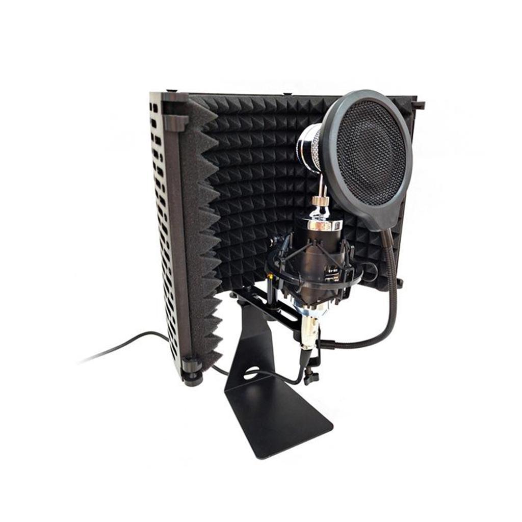 Tabletop Microphone Stand Desk Holder for Singing Kids, Adults