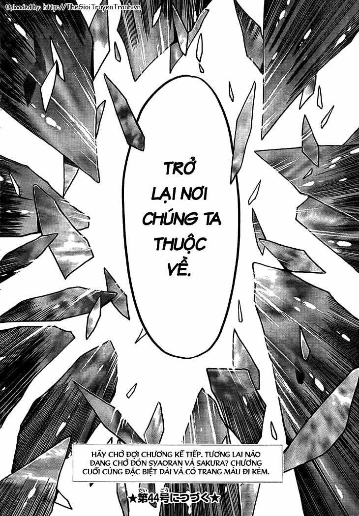 huyền thoại đôi cánh chapter 231 17