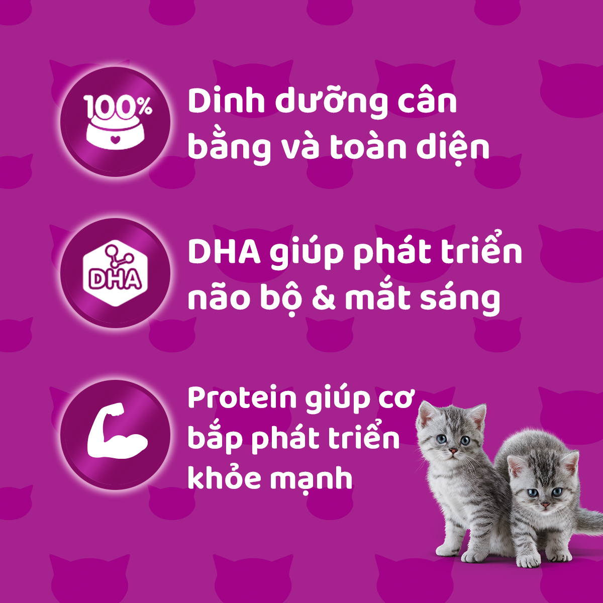 Bộ 12 túi thức ăn mèo con Whiskas vị cá thu túi 80g/túi