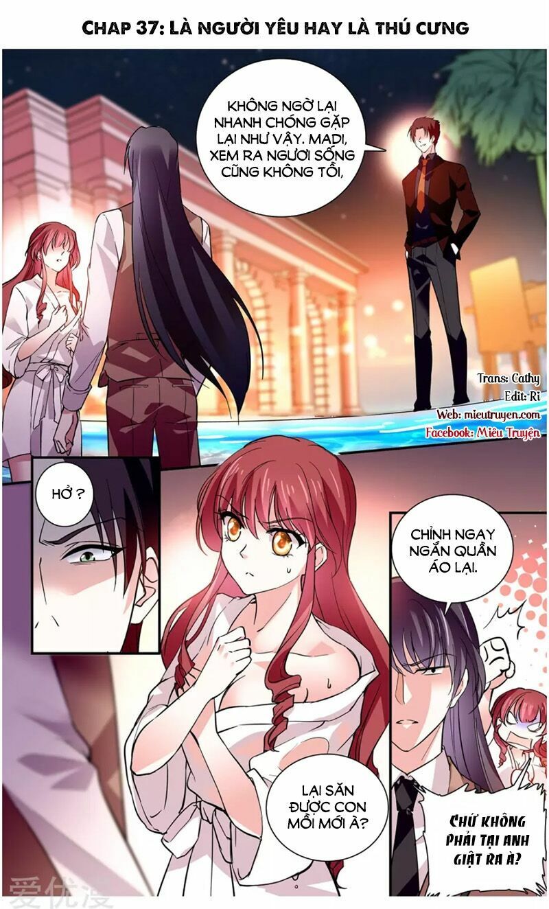 thâm hải nguy tình chapter 37 1