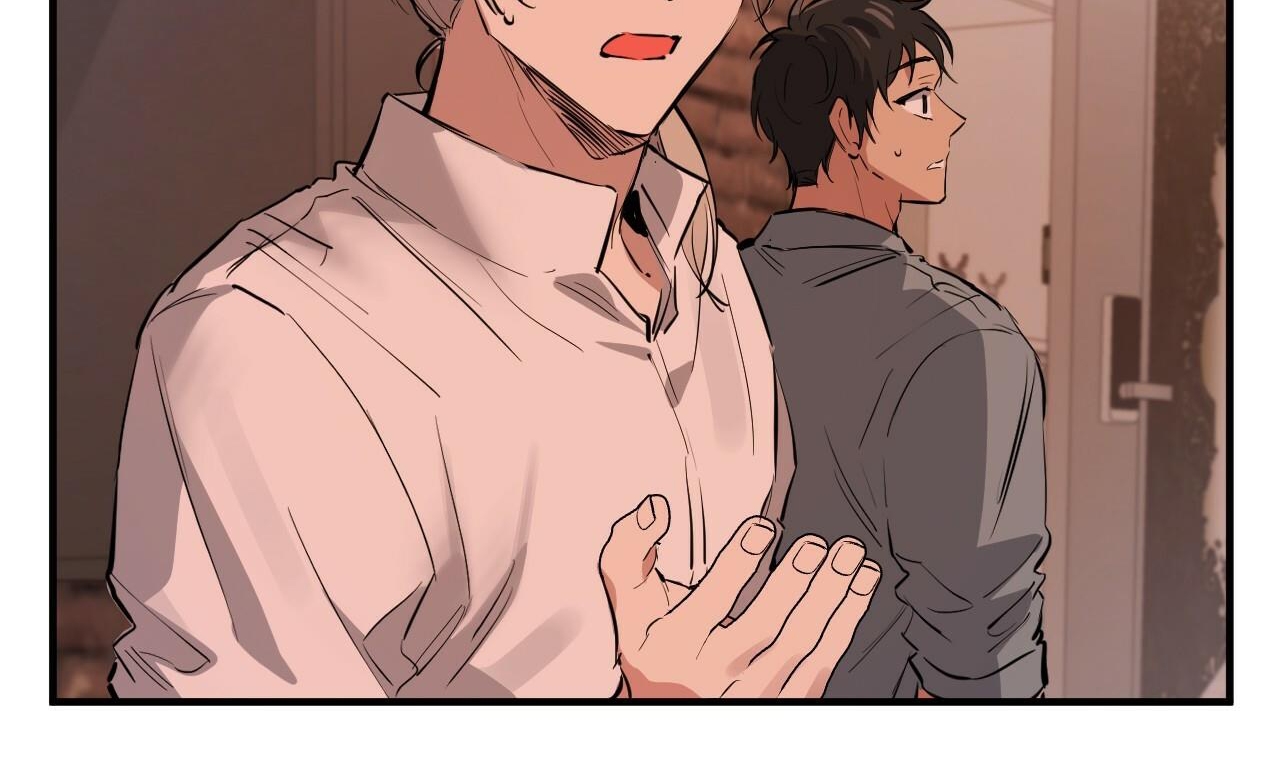 những chú thỏ của hapypy chapter 51 237