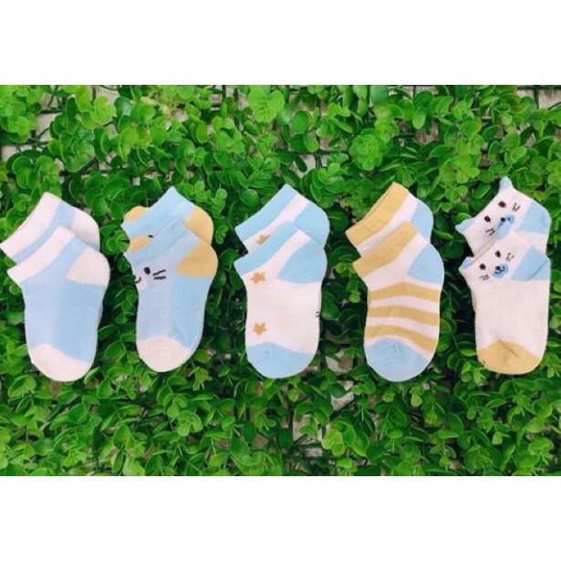 Sét 5 Đôi Tất Lưới Kids Socks Loại Đẹp