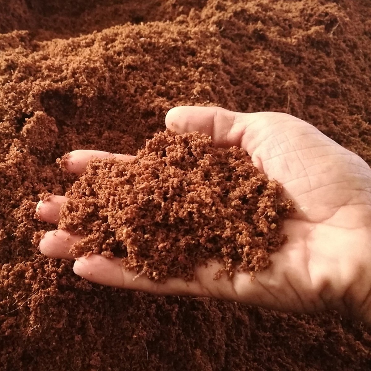 Giá thể xơ dừa xay nhuyễn 2KG