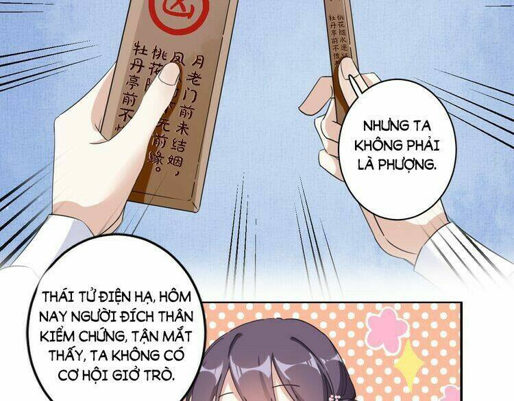 hoa nhan sách chapter 25.2 14