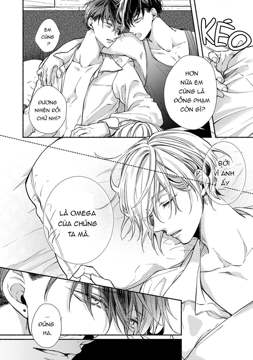omega giả vờ kiên cường đó là bạn tình của tôi chapter 1 52