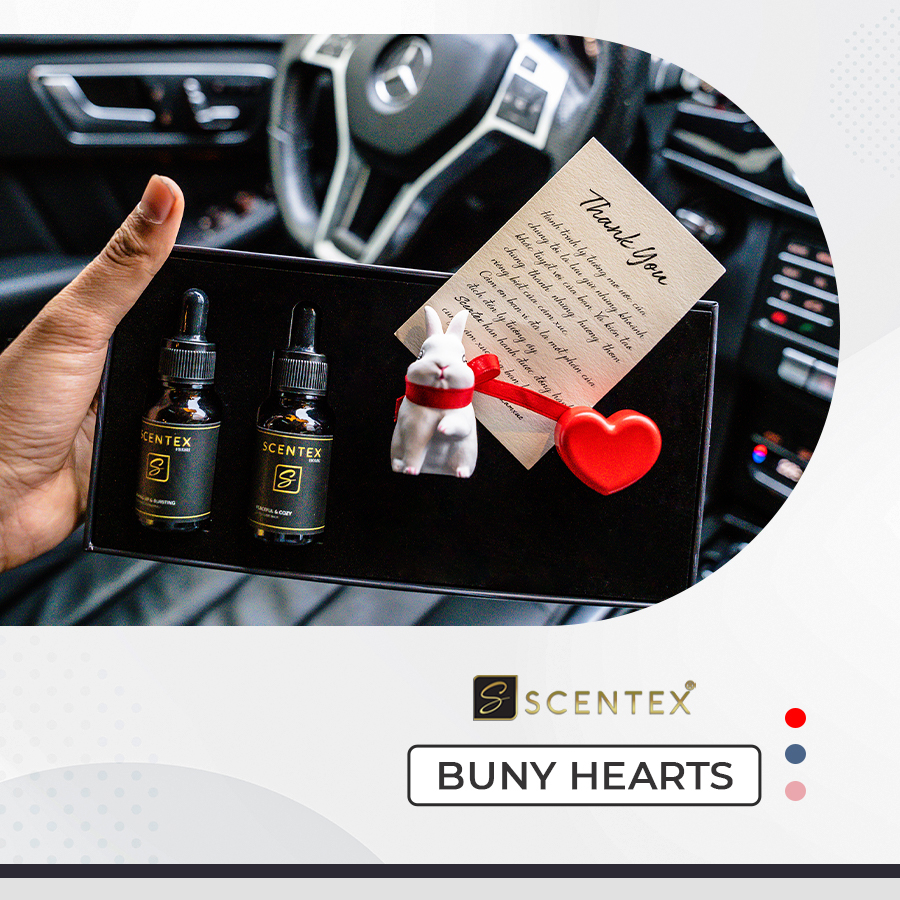 Nước hoa xe hơi cao cấp Scentex Buny Hearts 100% Organic, được làm từ chất liệu đá Aroma Stone đặc biệt, dễ dàng thẩm thấu và khuếch tán mùi hương theo cửa gió điều hòa, khử mùi, diệt khuẩn hiệt quả - Hàng Chính Hãng