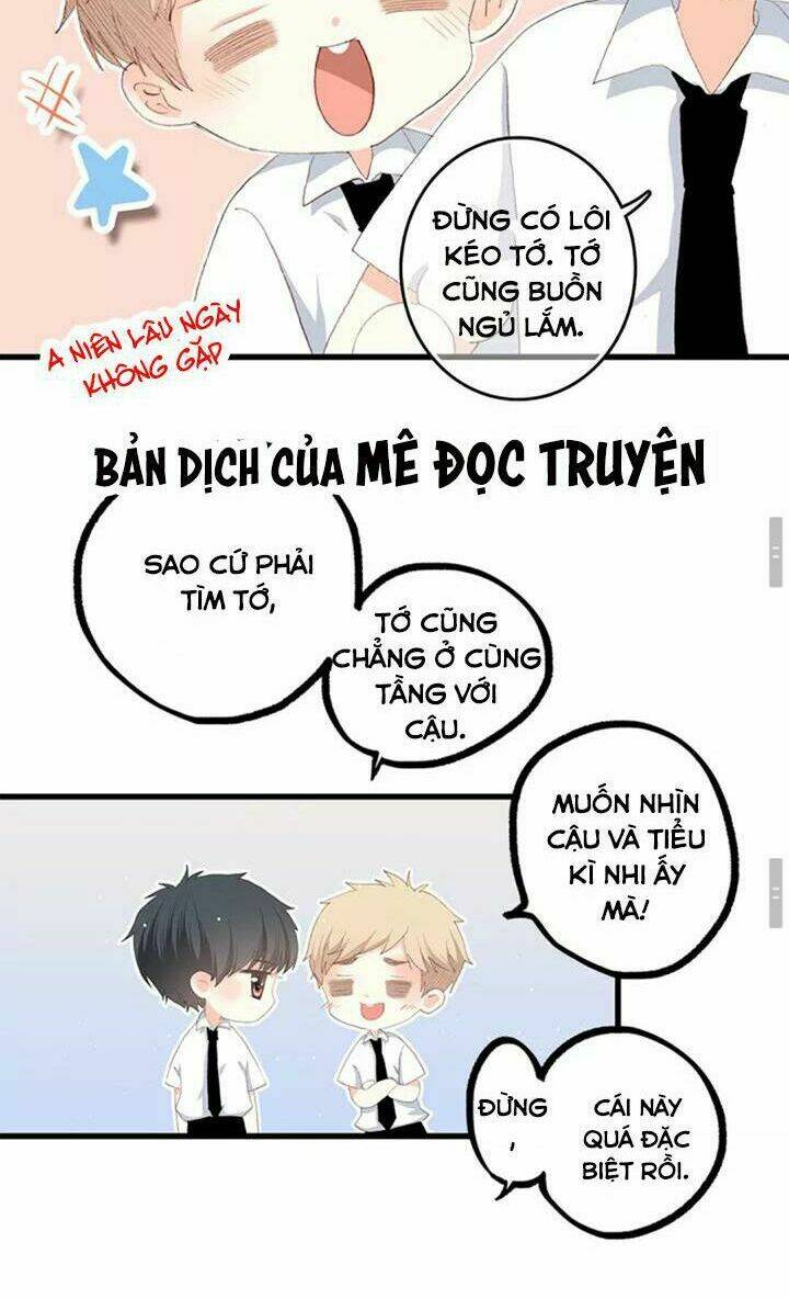 con tim rung động 3 chapter 43 15