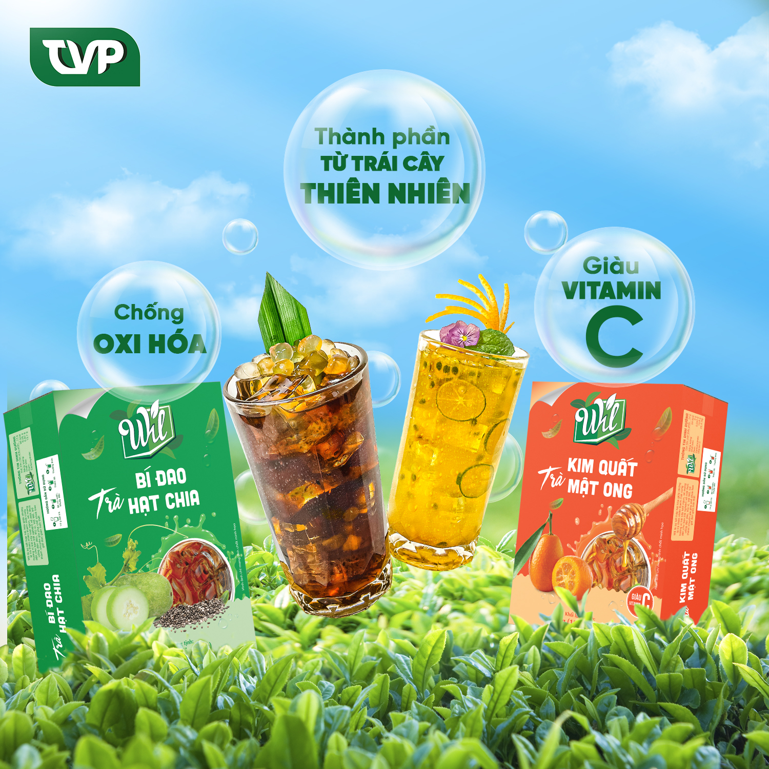 Trà kim quất mật ong Wil hòa tan trà tắc mật ong hộp 168g