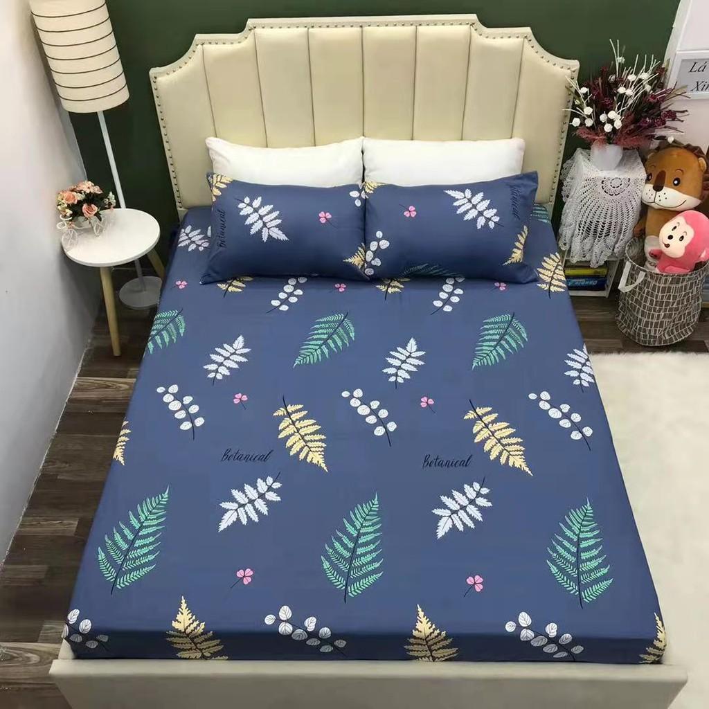 Bộ ga giường và vỏ gối Cotton