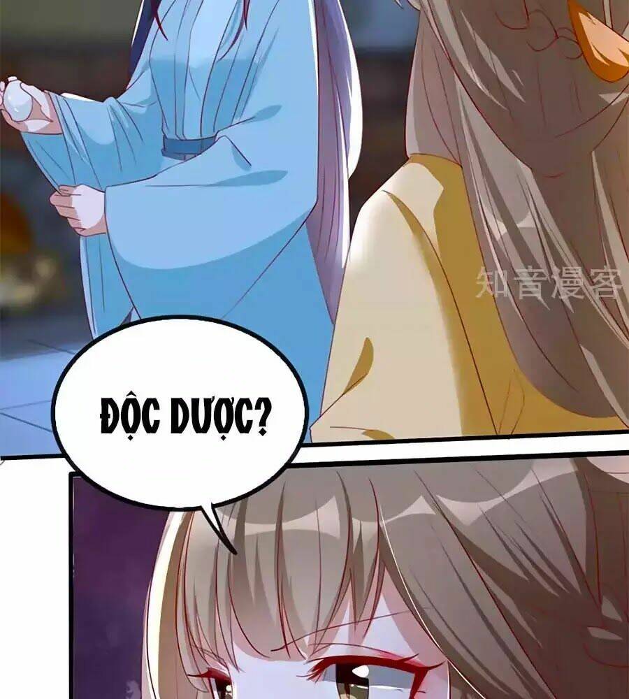 gian phi như thử đa kiều chapter 48 74