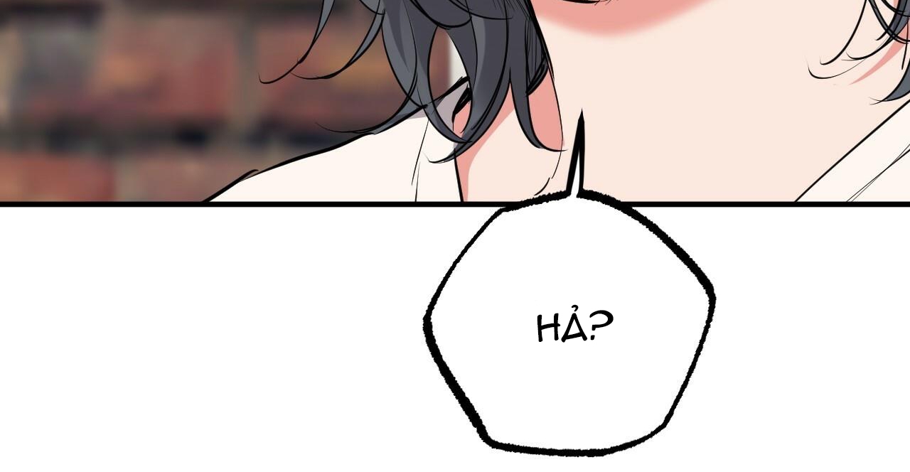 đàn thỏ của habibi chapter 36 102