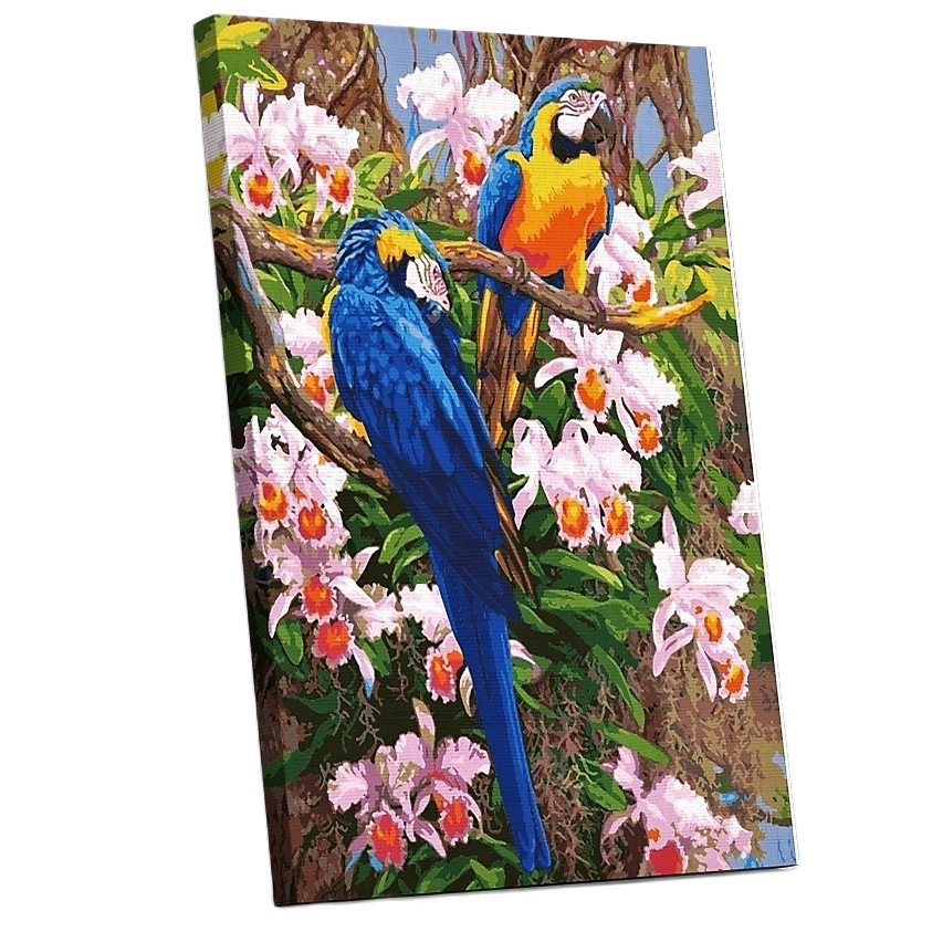 Tranh sơn dầu số hóa tự tô đã căn khung 40x50cm- E308 đôi chim vẹt