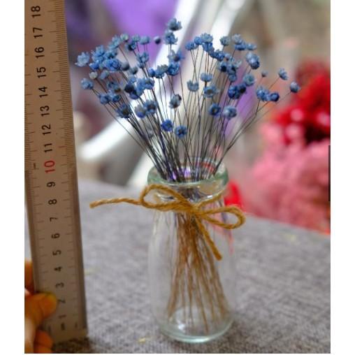 Lọ thủy tinh mini cắm hoa khô tặng kèm dây đay