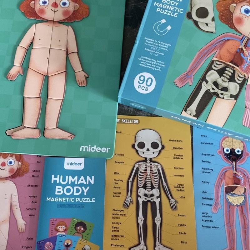 Đồ Chơi Xếp Hình Nam Châm Cơ Thể - Mideer Human Body Magnetic Puzzle