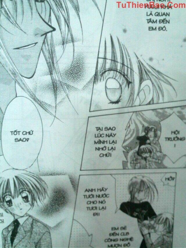 nguyện ước dưới ánh sao chapter 7 2