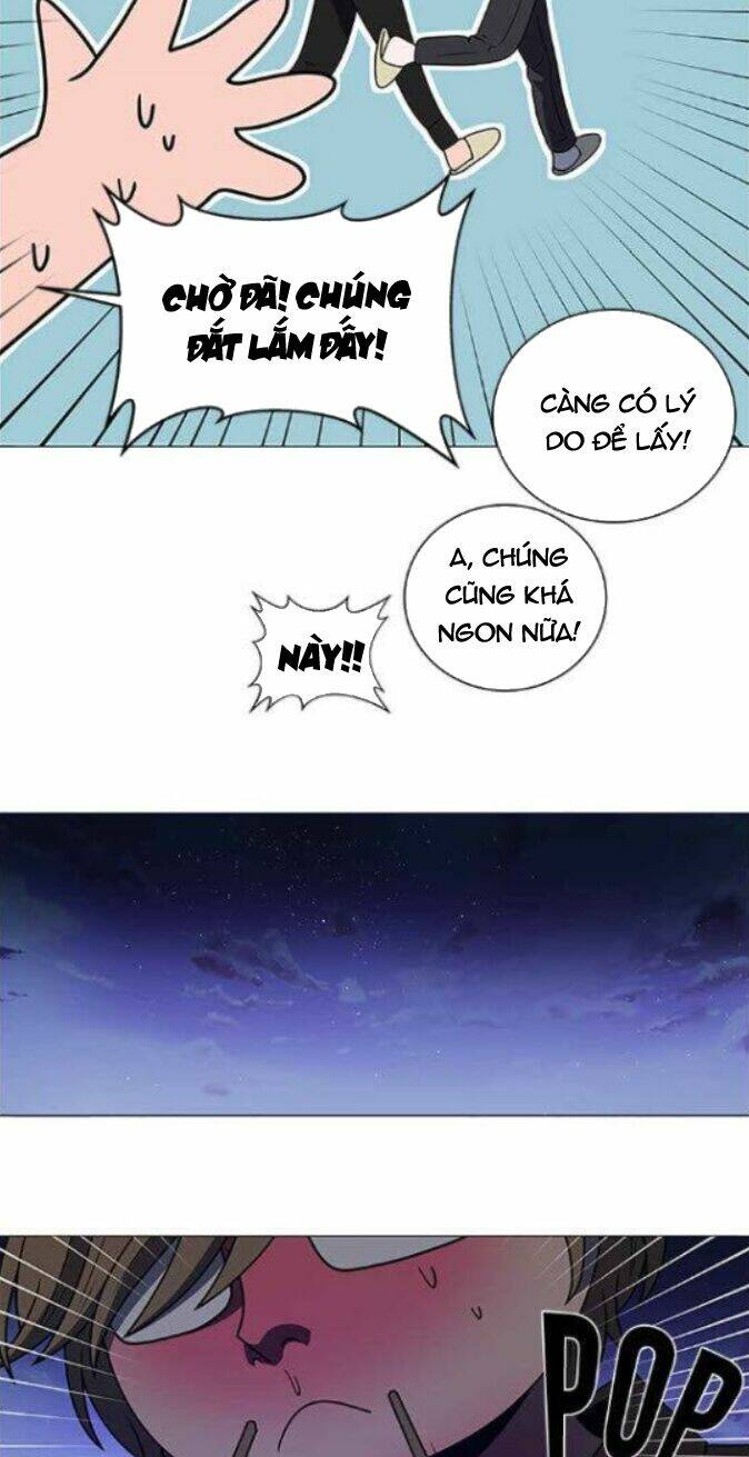 no scope chapter 112 34