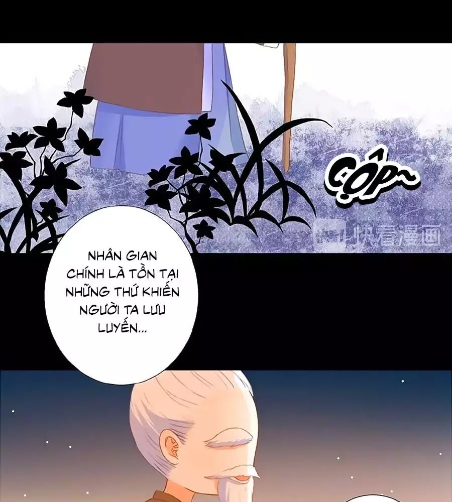 hoa chưa nở rộ chapter 21 55