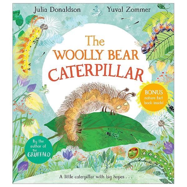 The Woolly Bear Caterpillar