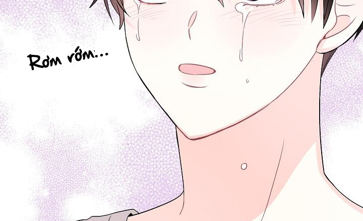 xác suất tình yêu chapter 31 147