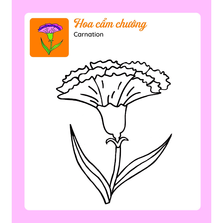 Sách Tớ Tự Tô: Những Bông Hoa Xinh