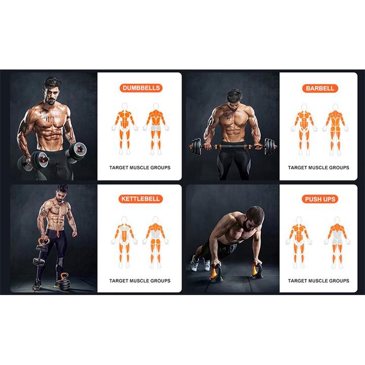Bộ tạ tập tay 4in1 Cao cấp hỗ trợ tập GYM tại nhà 40 kg