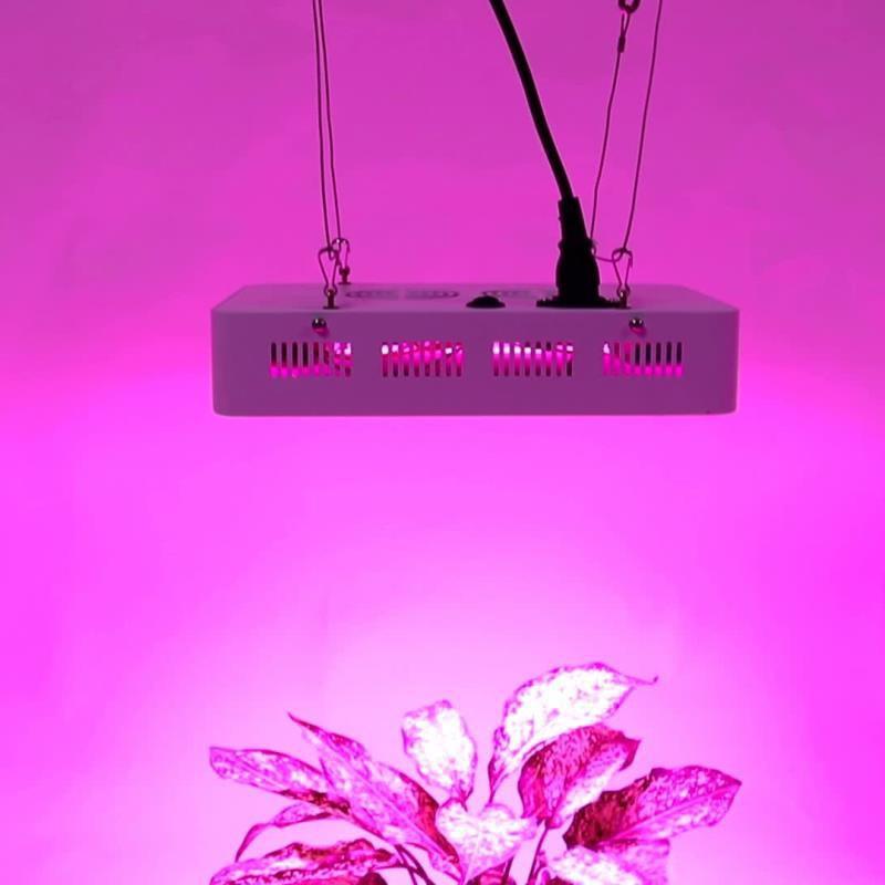 Đèn Led trồng cây, đèn trồng cây trong nhà, led grow light (GL-300W)