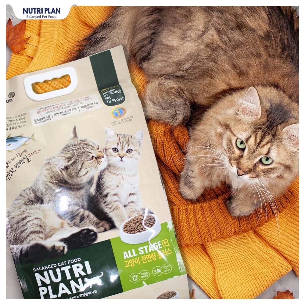 Thức ăn hạt cho mèo mọi lứa tuổi Nutri Plan Cat All Stage Plus 5Kg