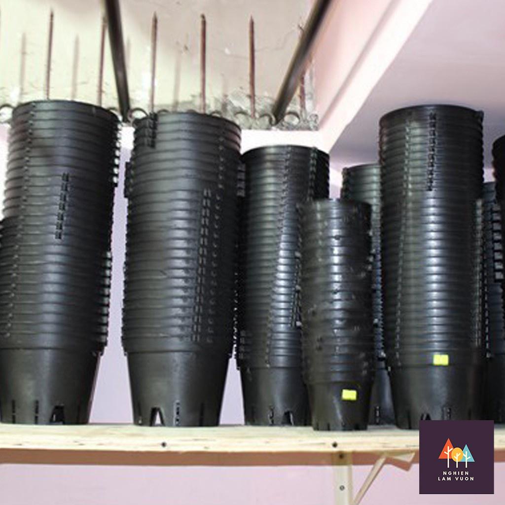 Chậu nhựa đen trồng lan, cây cảnh fi 12