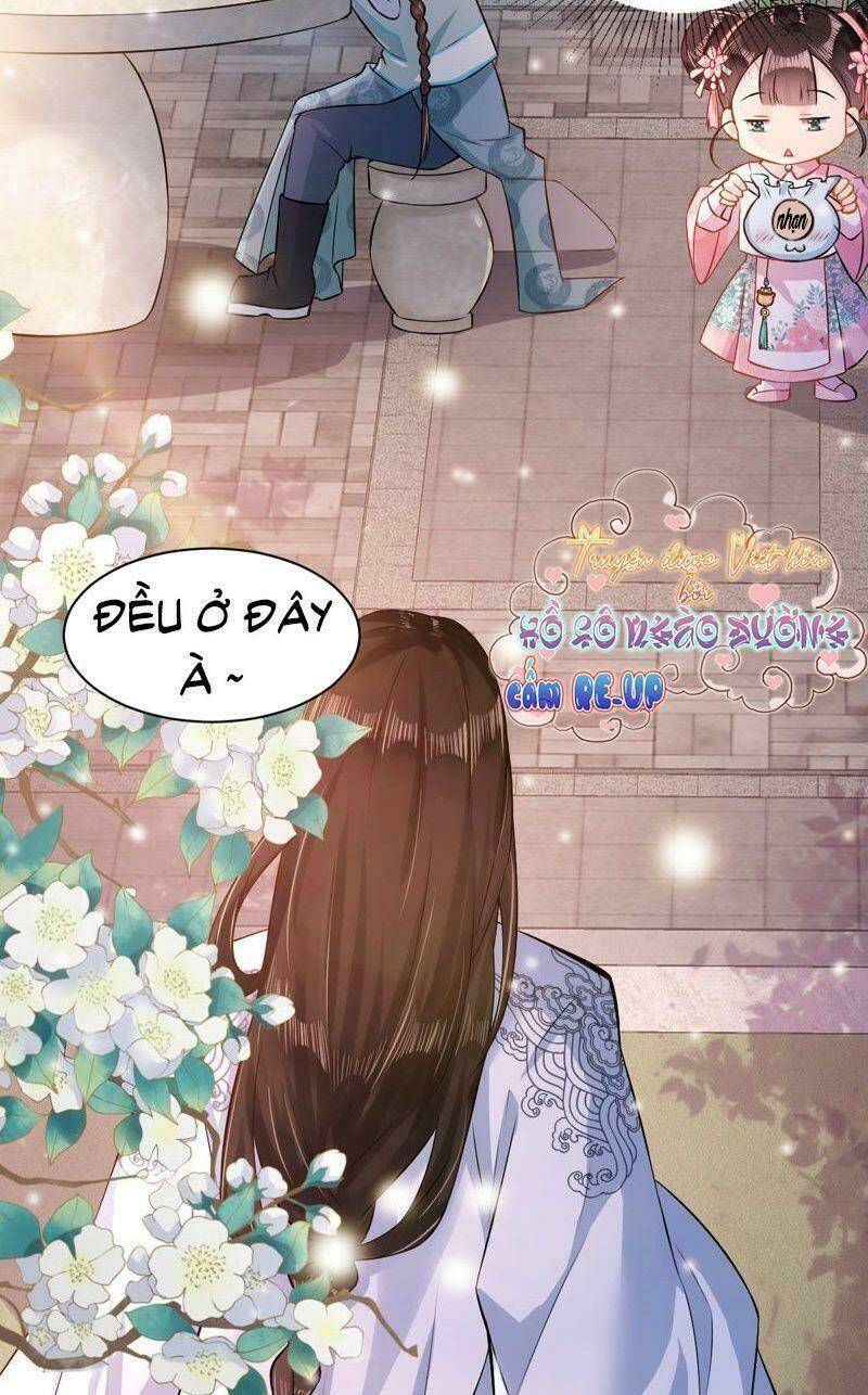 quận chúa vững vàng, thiết lập nhân vật không thể vỡ chapter 5 17