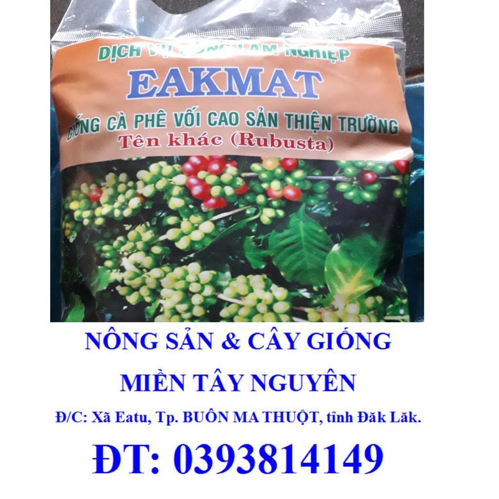 0,5 KG HẠT GIỐNG CÀ PHÊ THIỆN TRƯỜNG CAO SẢN -