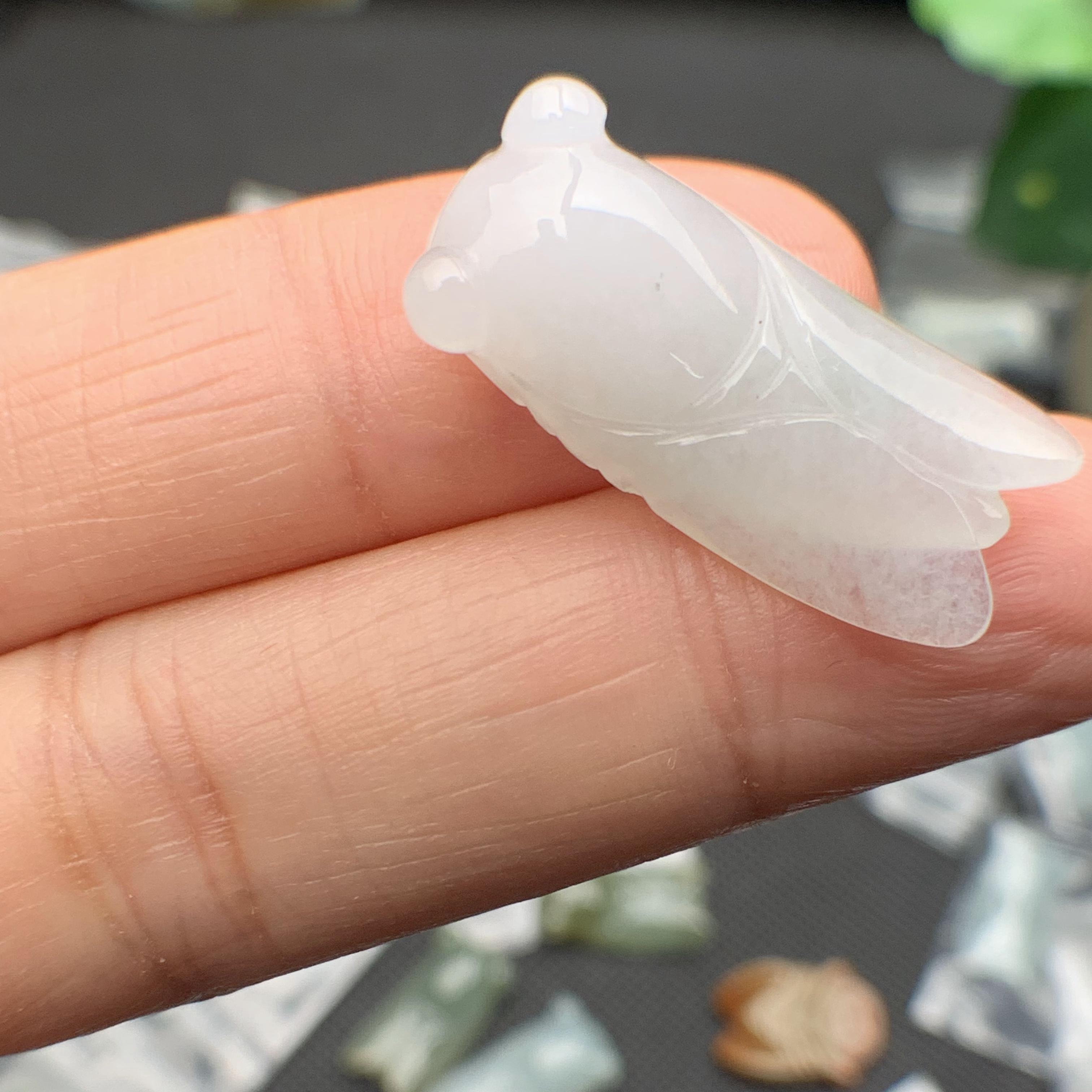 Ve sầu ngọc phỉ thúy tự nhiên Jadeite A