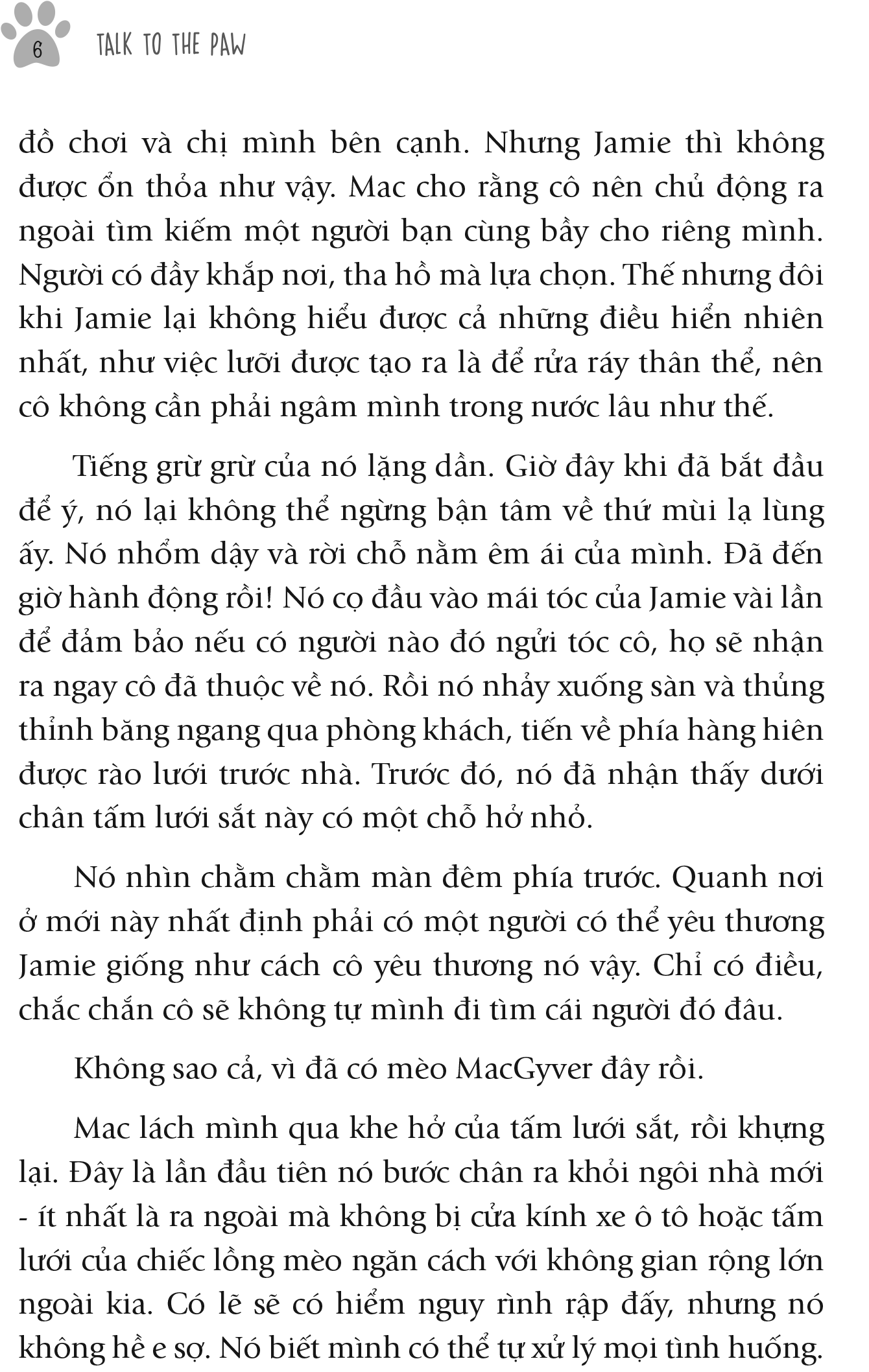 Nhân Duyên Mèo Định