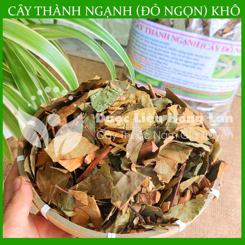 1kg Cây Đỏ Ngọn khô sạch loại 1