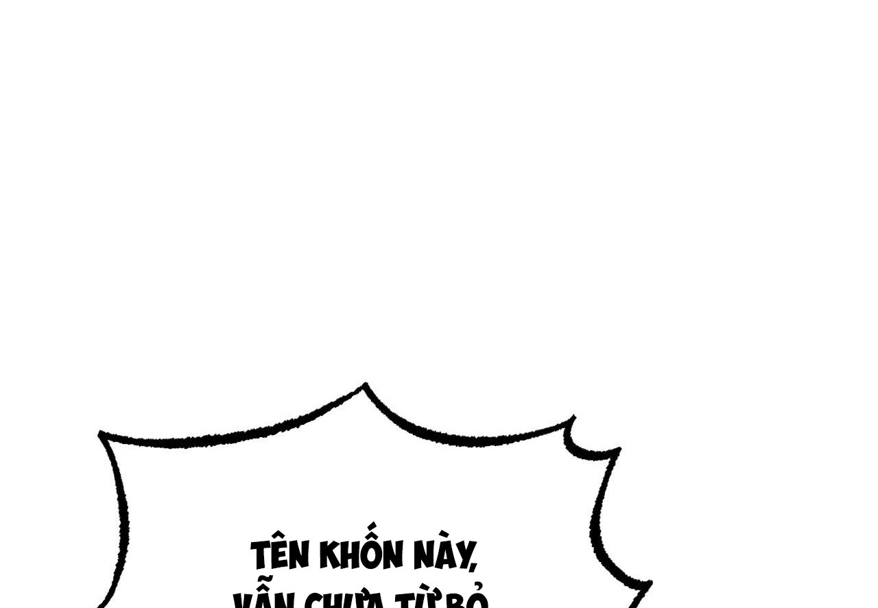 những chú thỏ của hapypy chapter 62 10